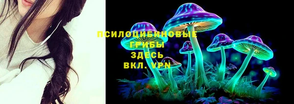 спиды Медногорск