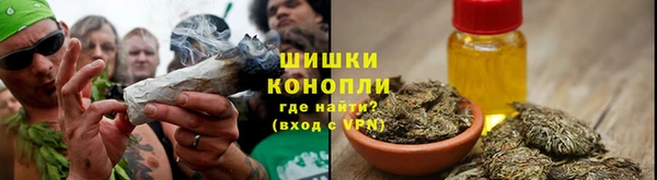 гашик Мегион