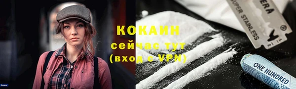 спиды Медногорск
