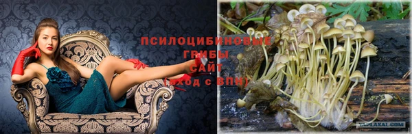 гашик Мегион