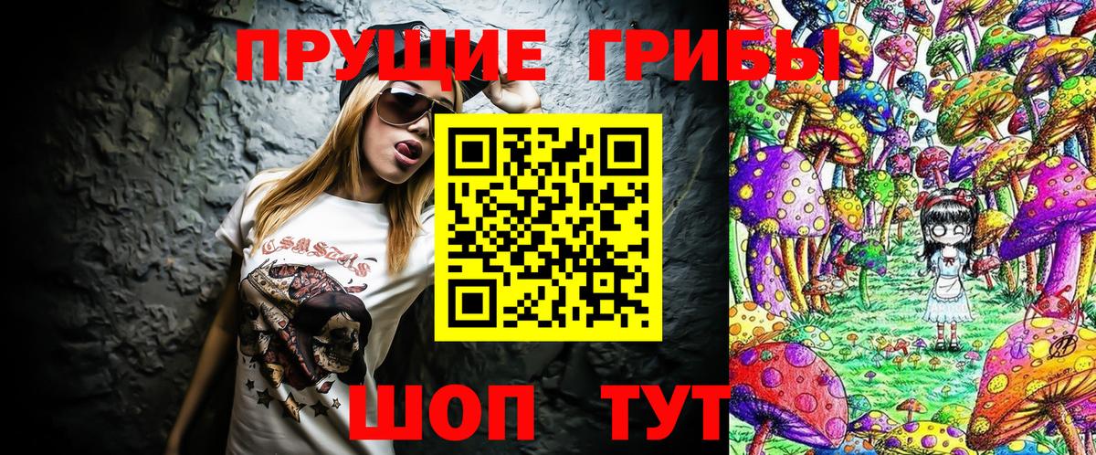 Псилоцибиновые грибы мицелий Старая Русса