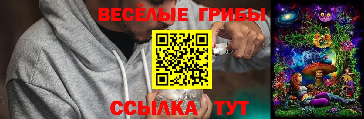 Псилоцибиновые грибы мицелий  Вход с VPN  Галлюциногенные грибы Cubensis  Старая Русса 