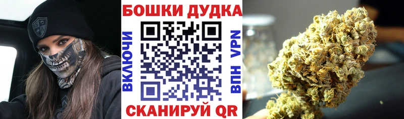 блэк спрут ССЫЛКА  Старая Русса  Бошки Шишки план 
